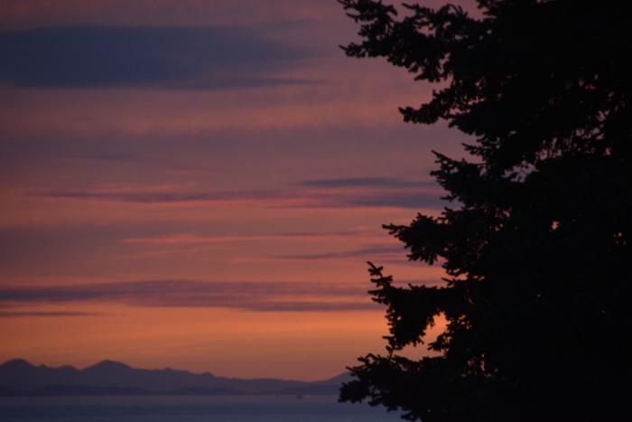 sunset